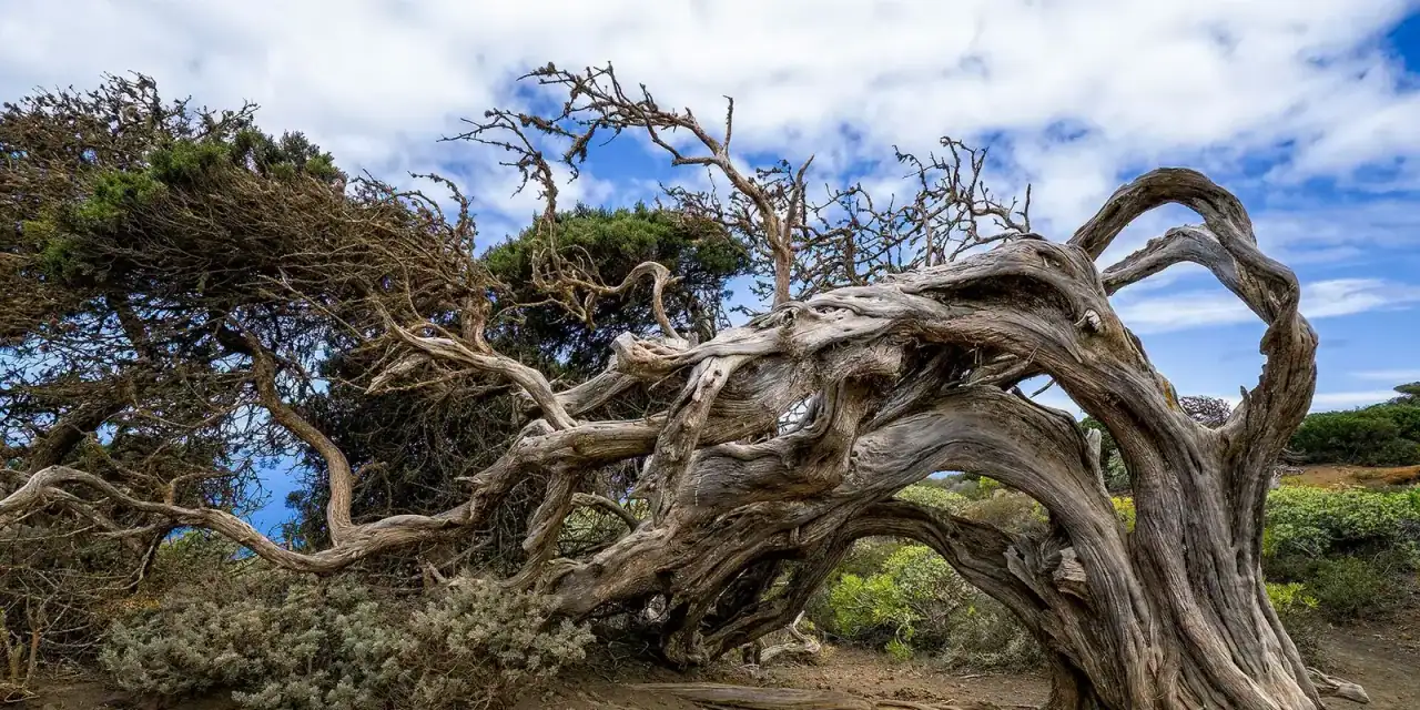 El Hierro
