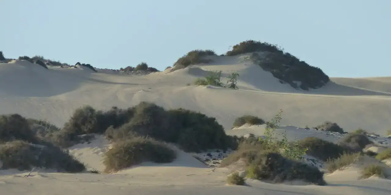 Corralejo y las dunas