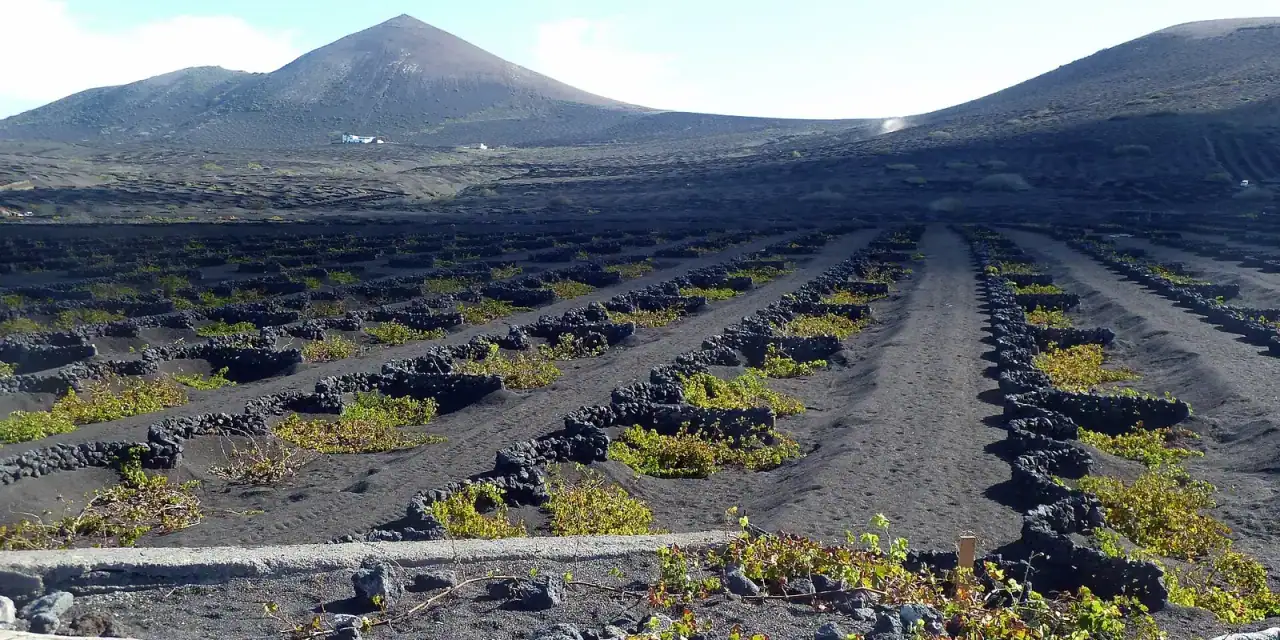 Lanzarote